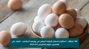 148 جنيهًا.. استقرار أسعار كرتونة البيض في بورصة الدواجن.. تعرف على تفاصيل اليوم الخميس 4-9-2025
